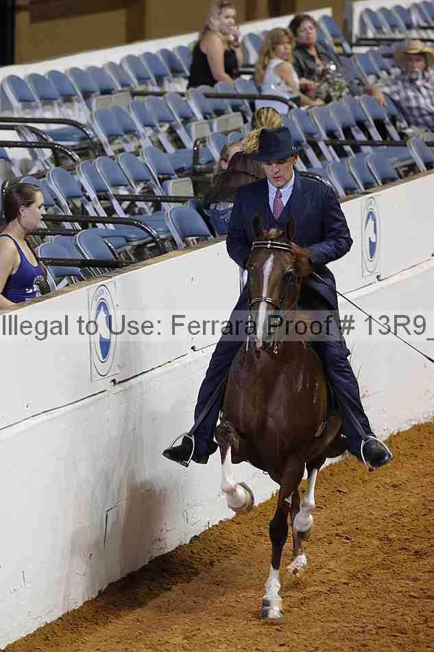 Proof 13r9_6588