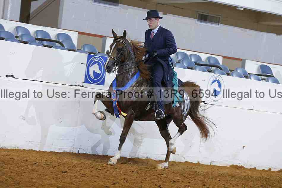 Proof 13r9_6594