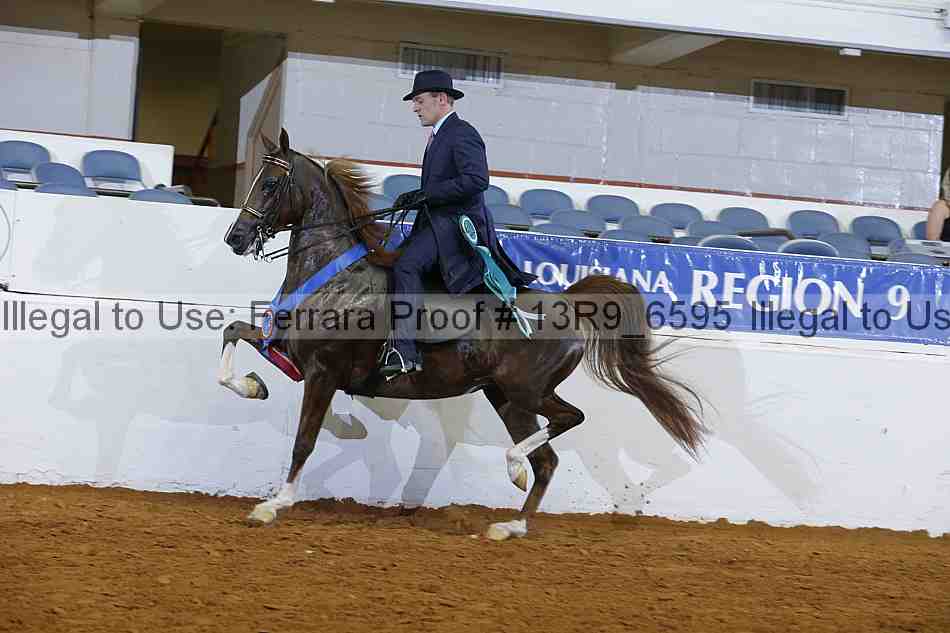 Proof 13r9_6595