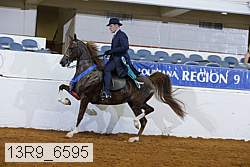 13r9_6595 proof