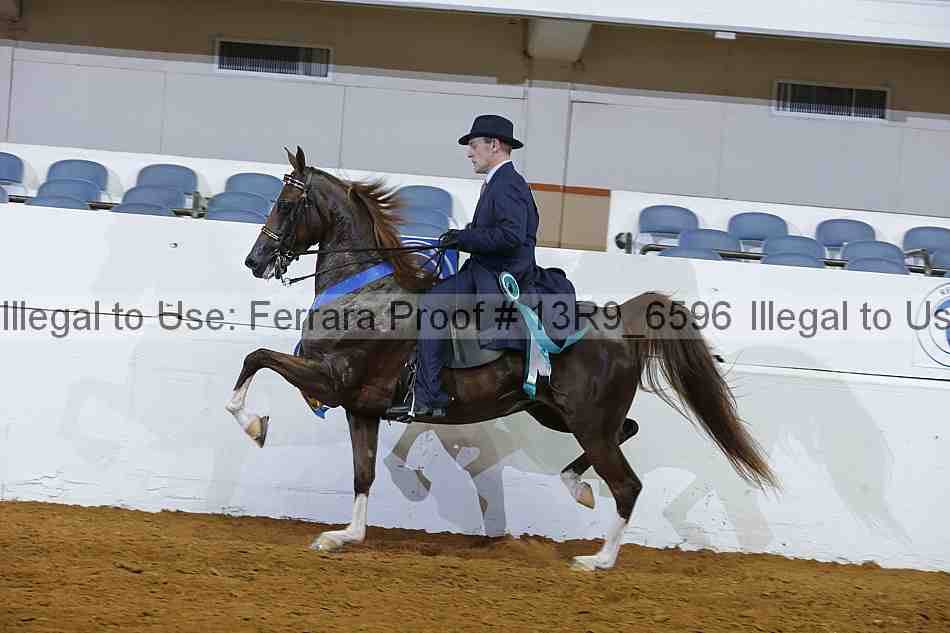 Proof 13r9_6596