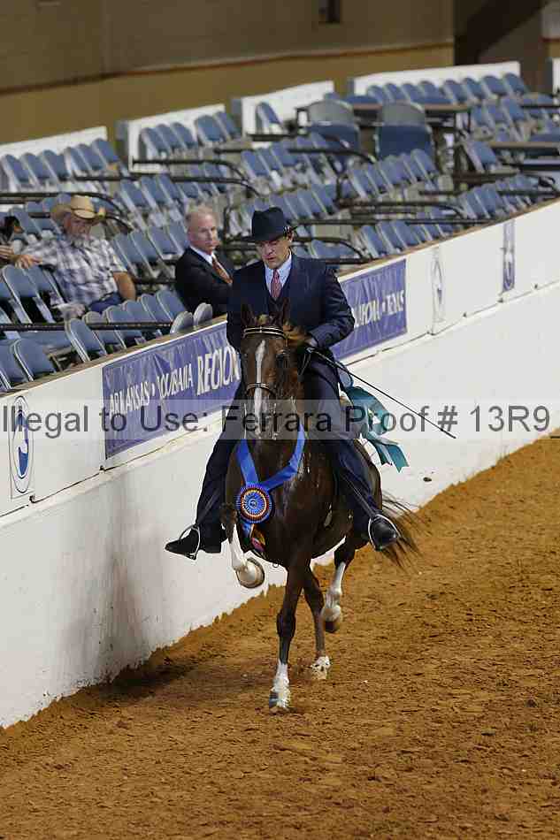 Proof 13r9_6597