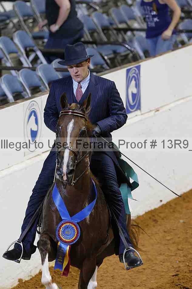 Proof 13r9_6598
