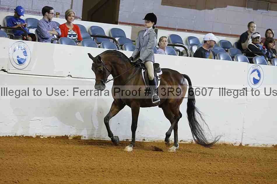Proof 13r9_6607