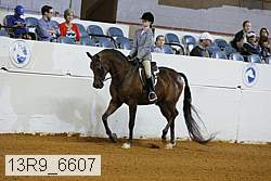 13r9_6607 proof