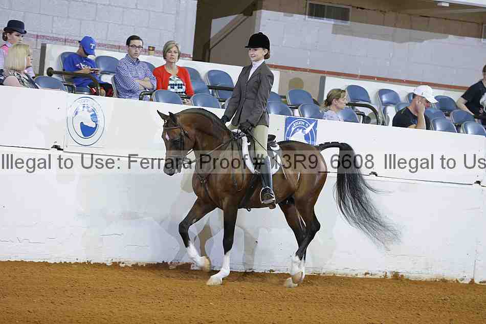 Proof 13r9_6608