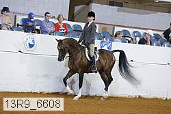 13r9_6608 proof