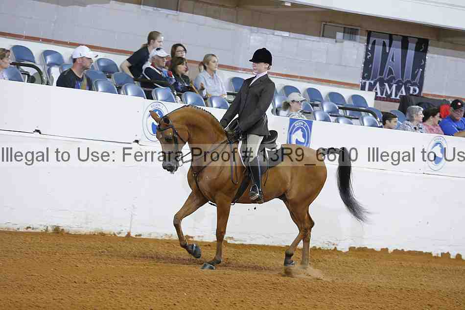 Proof 13r9_6610