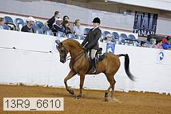 13r9_6610 proof