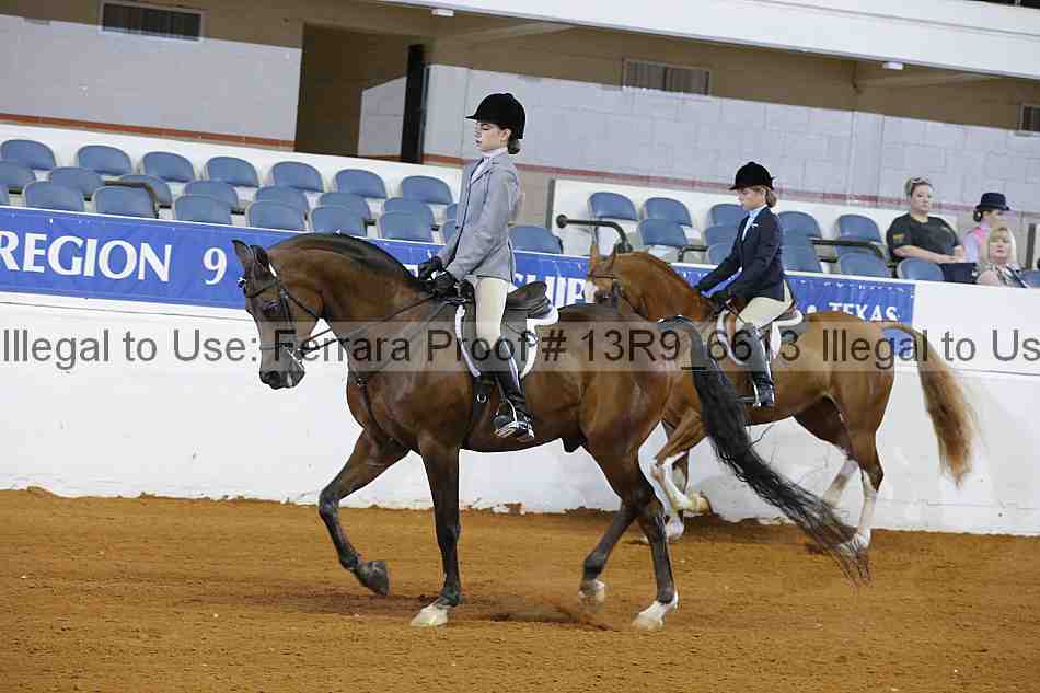 Proof 13r9_6613