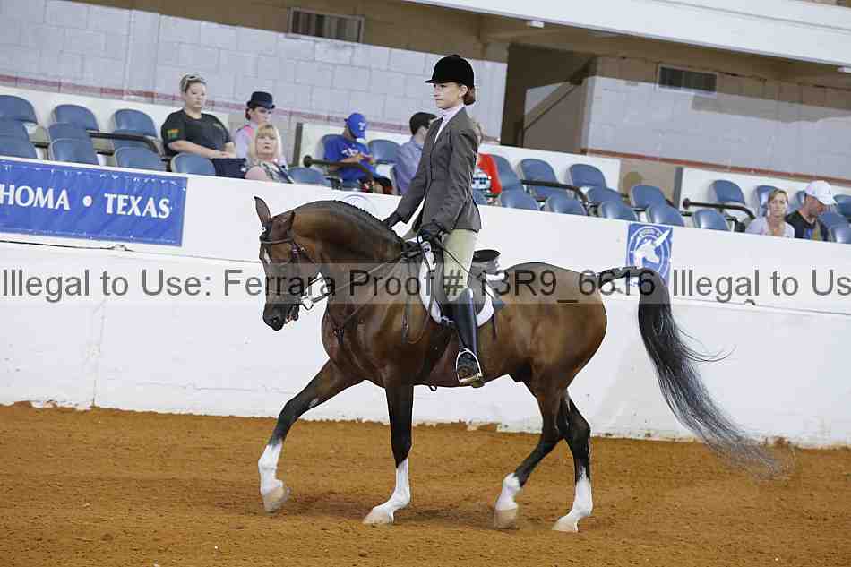 Proof 13r9_6616