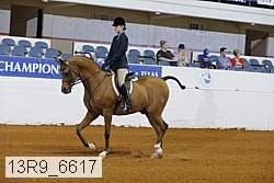 13r9_6617 proof