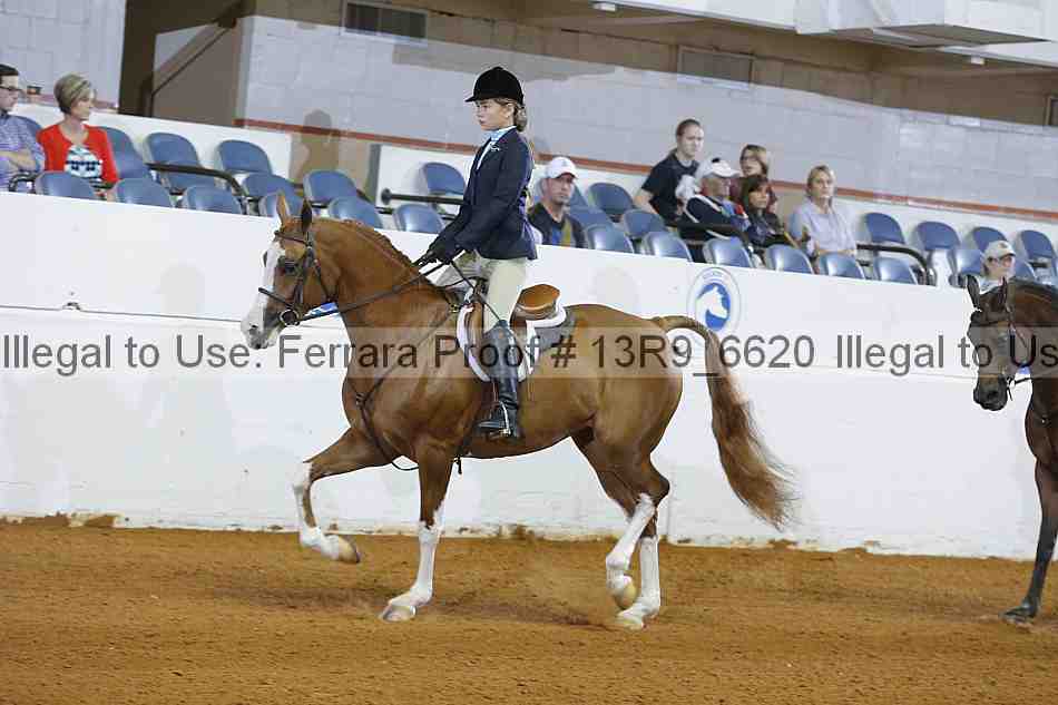 Proof 13r9_6620