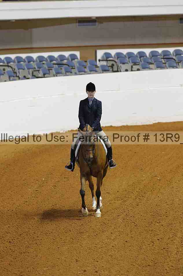 Proof 13r9_6621