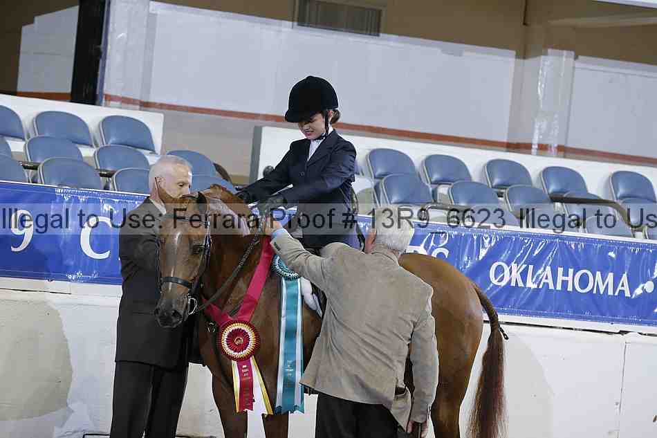 Proof 13r9_6623