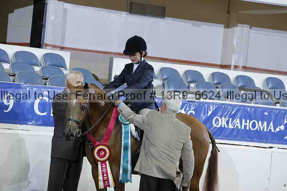 Proof 13r9_6624