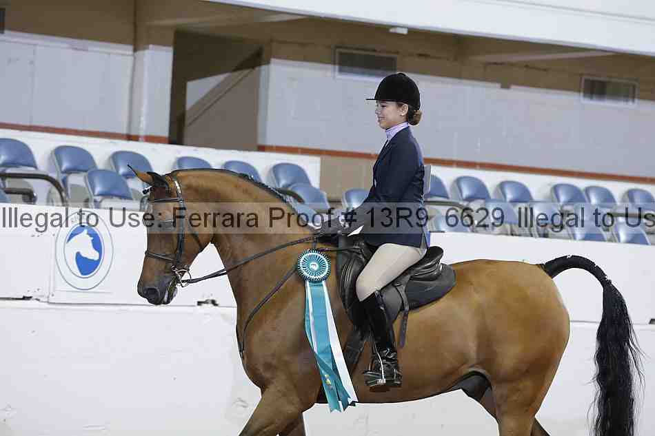 Proof 13r9_6629