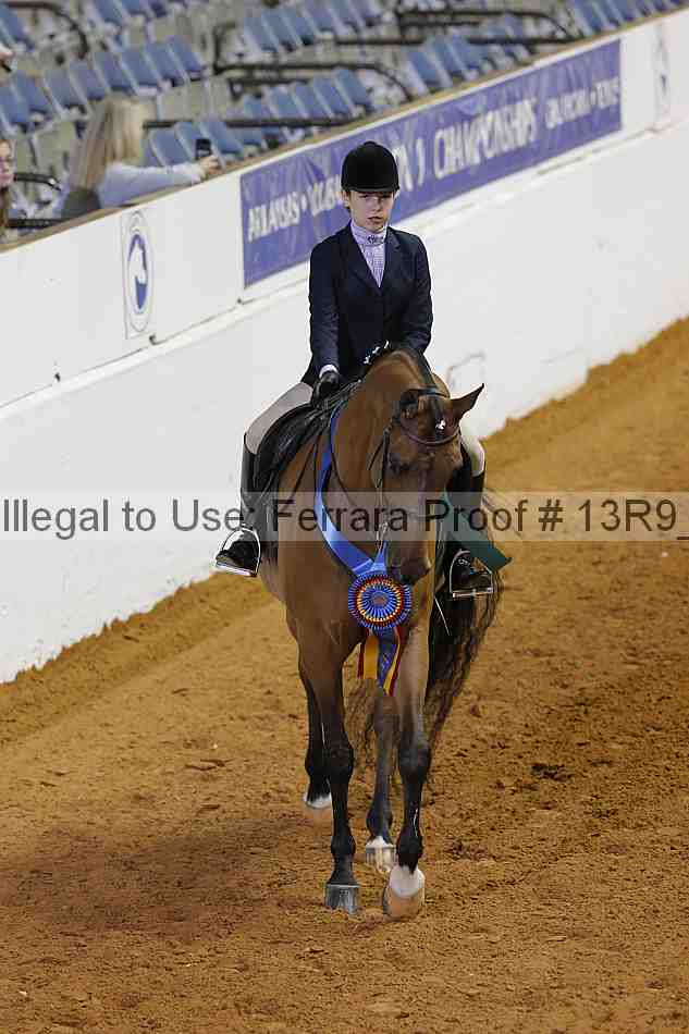 Proof 13r9_6631
