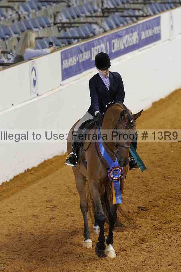 Proof 13r9_6632