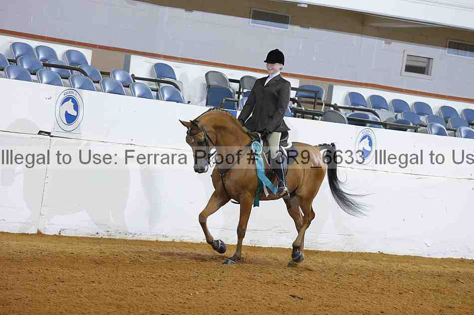 Proof 13r9_6633