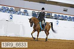 13r9_6633 proof