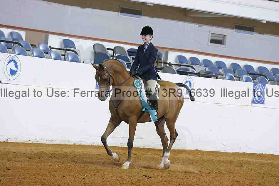Proof 13r9_6639
