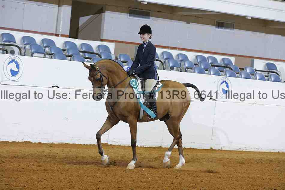 Proof 13r9_6641
