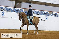 13r9_6641 proof