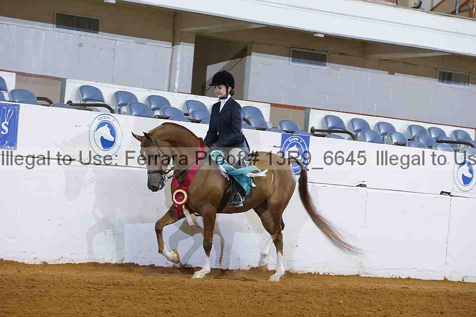 Proof 13r9_6645