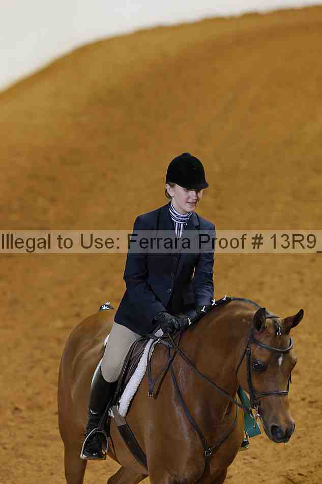 Proof 13r9_6646
