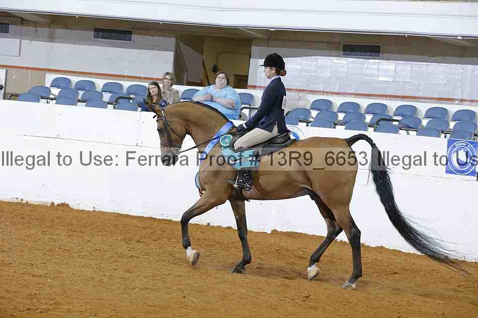 Proof 13r9_6653