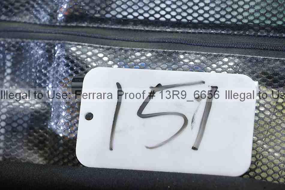 Proof 13r9_6656