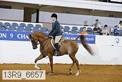13r9_6657 proof