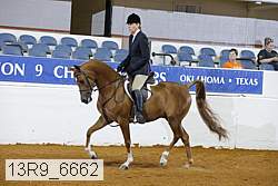 13r9_6662 proof