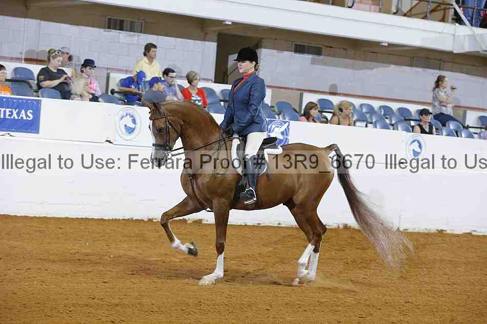 Proof 13r9_6670