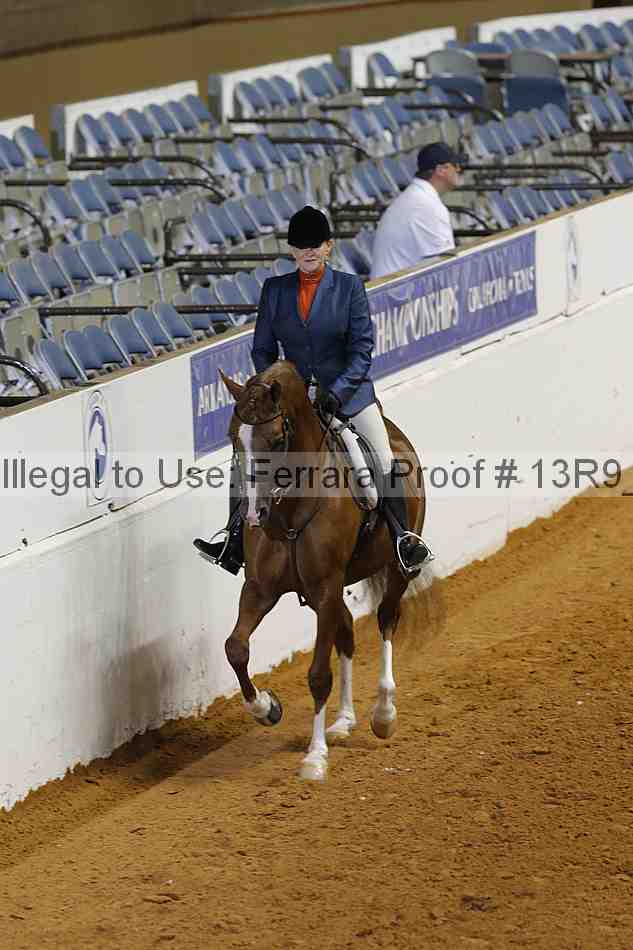 Proof 13r9_6681
