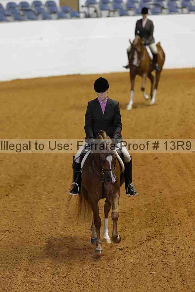 Proof 13r9_6685