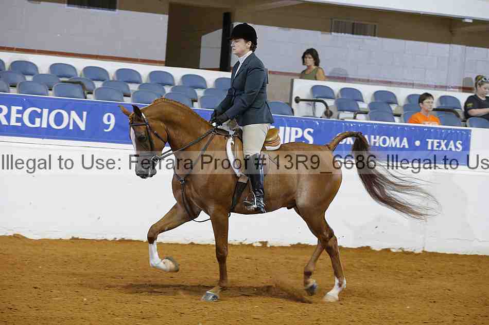 Proof 13r9_6686