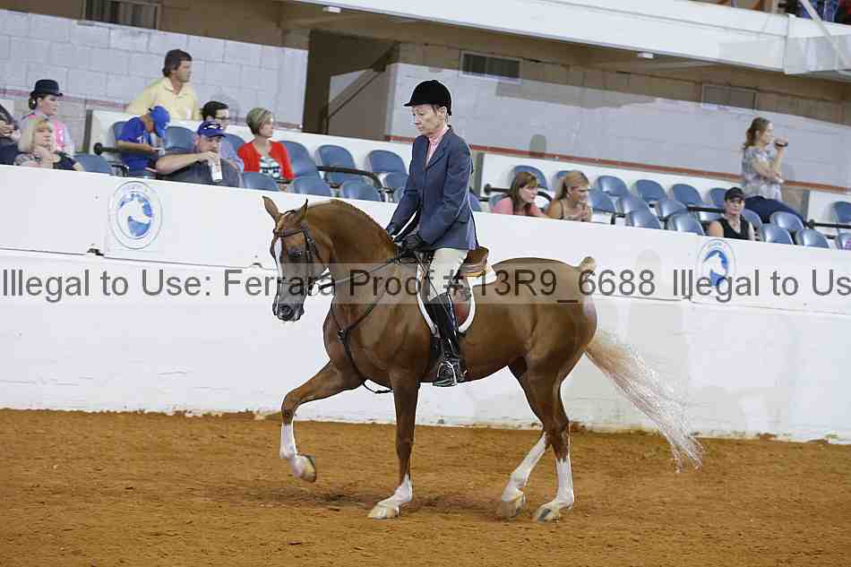 Proof 13r9_6688
