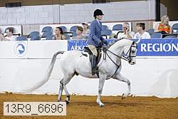13r9_6696 proof