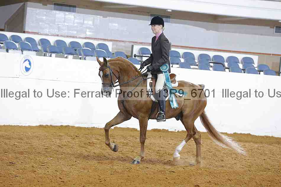 Proof 13r9_6701