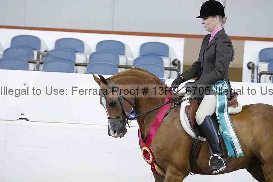 Proof 13r9_6705