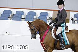 13r9_6705 proof