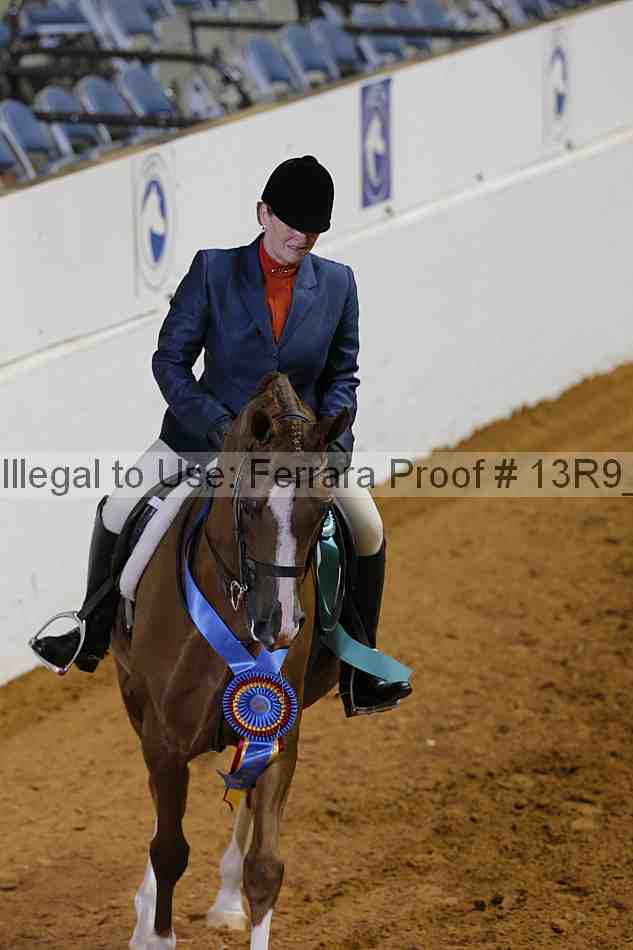Proof 13r9_6715