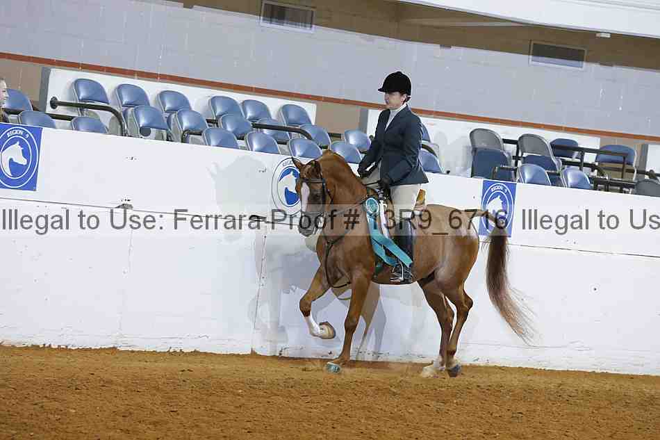 Proof 13r9_6716