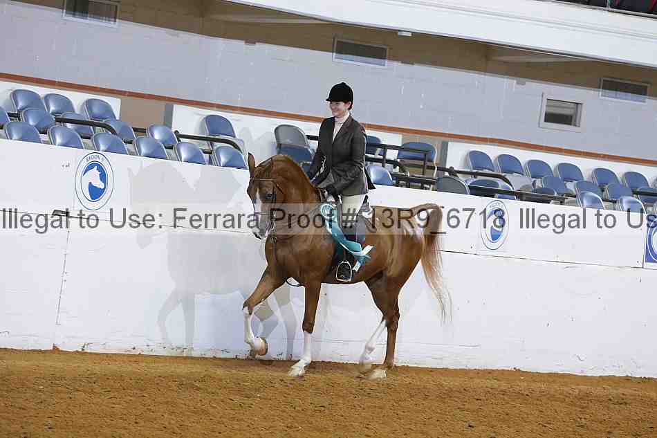 Proof 13r9_6718