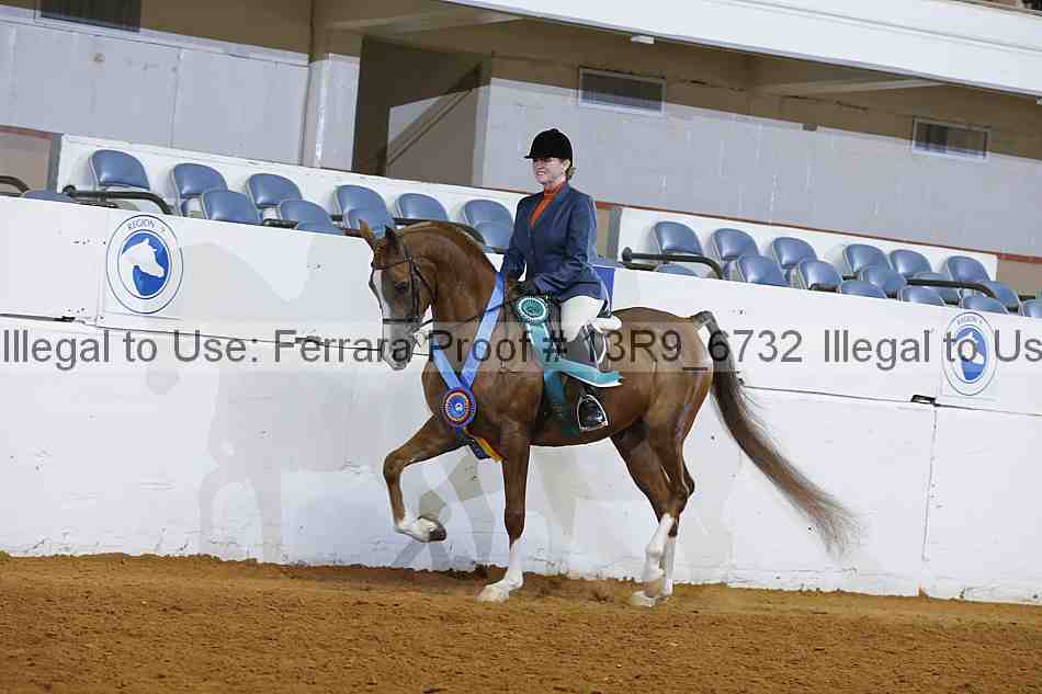 Proof 13r9_6732