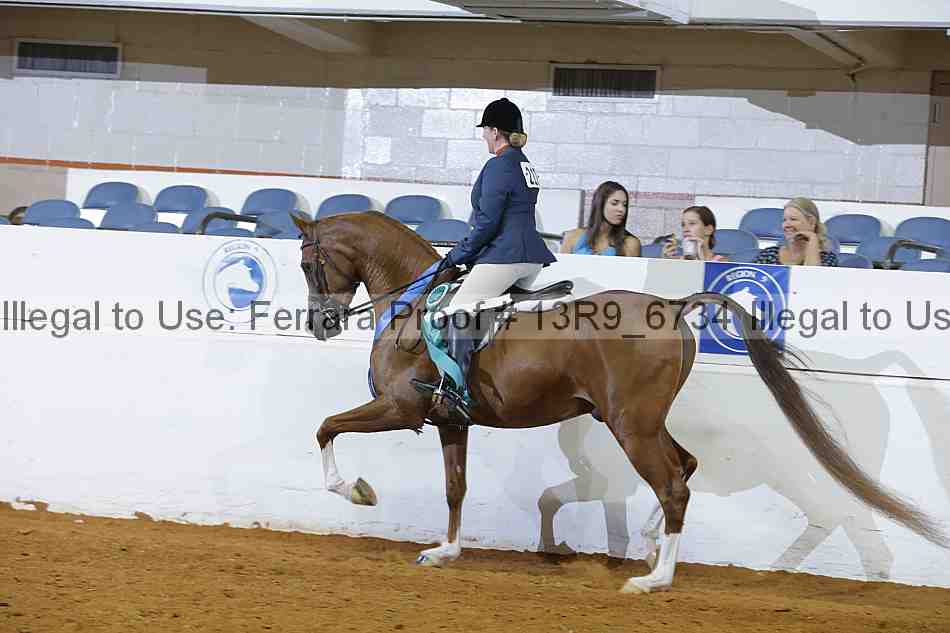 Proof 13r9_6734