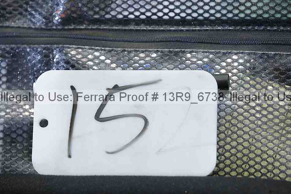 Proof 13r9_6738