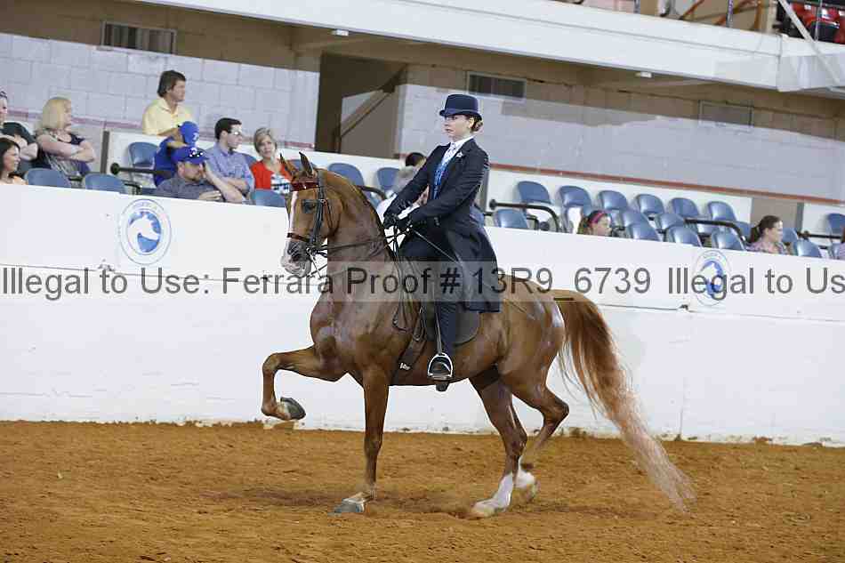 Proof 13r9_6739